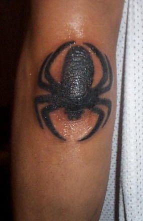 tatouage araignée 529