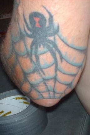 tatouage araignée 533