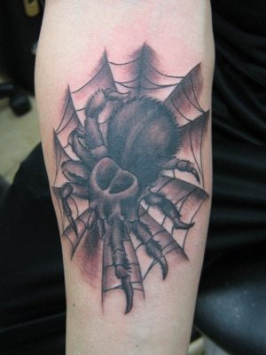 tatouage araignée 534