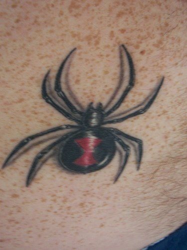 tatouage araignée 537