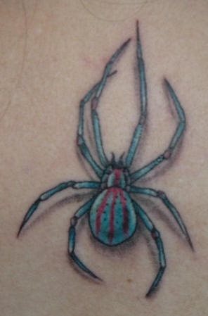 tatouage araignée 538