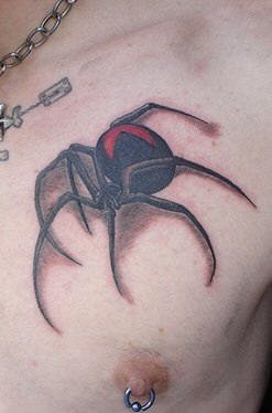 tatouage araignée 539