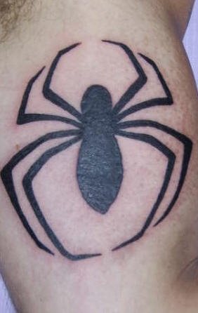tatouage araignée 540