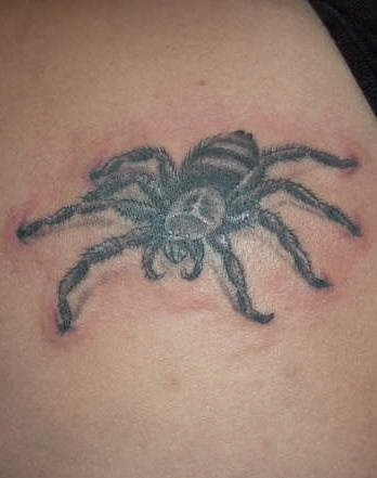 tatouage araignée 541