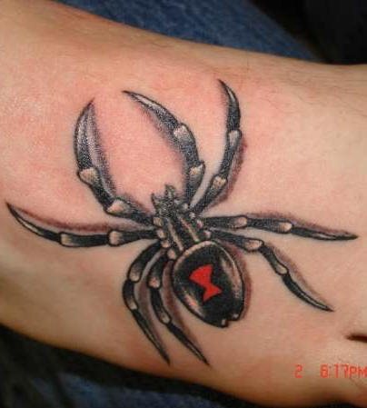 tatouage araignée 542
