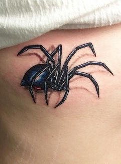 tatouage araignée 543