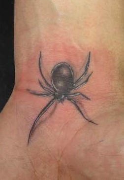 tatouage araignée 545