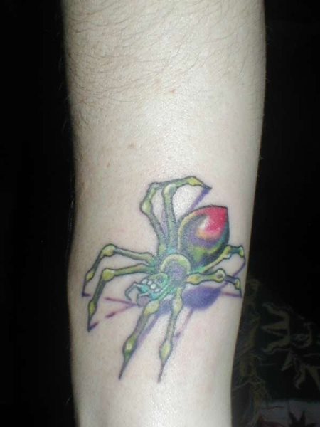 tatouage araignée 547