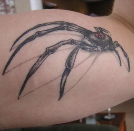 tatouage araignée 548