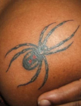 tatouage araignée 549