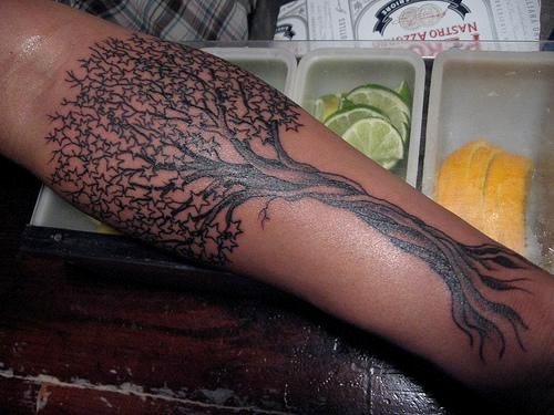 tatouage arbre 541