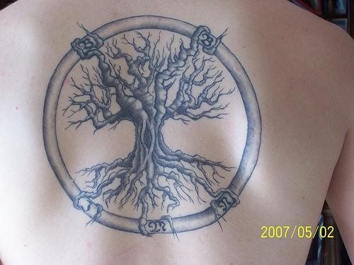 tatouage arbre 546