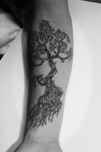 tatouage arbre 552