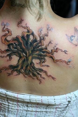 tatouage arbre 555