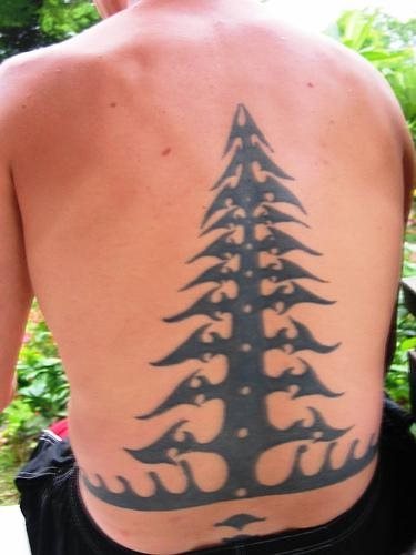 tatouage arbre 560