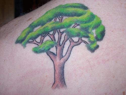 tatouage arbre 576