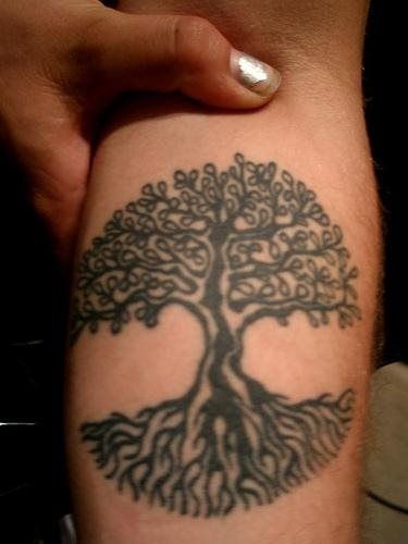 tatouage arbre 580