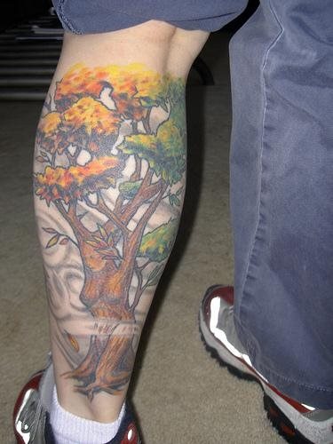 tatouage arbre 584