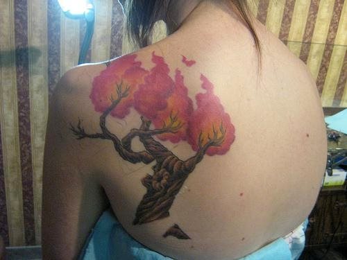 tatouage arbre 508