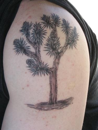 tatouage arbre 520