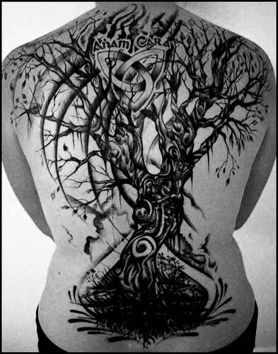 tatouage arbre 527