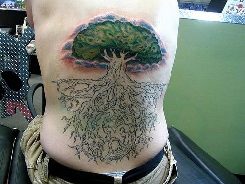 tatouage arbre 532