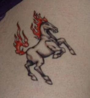 tatouage cheval 505