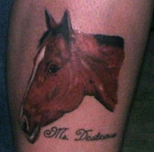 tatouage cheval 512