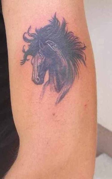 tatouage cheval 519