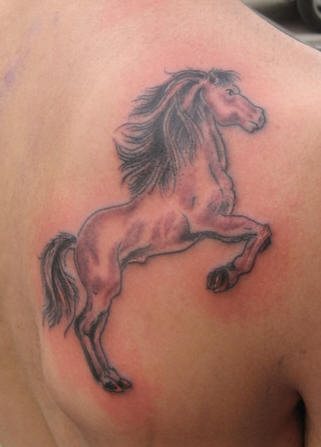 tatouage cheval 530