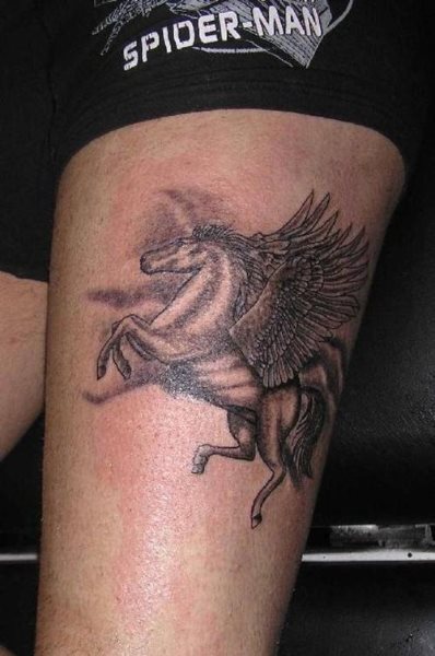 tatouage cheval 536