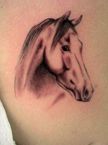 tatouage cheval 539