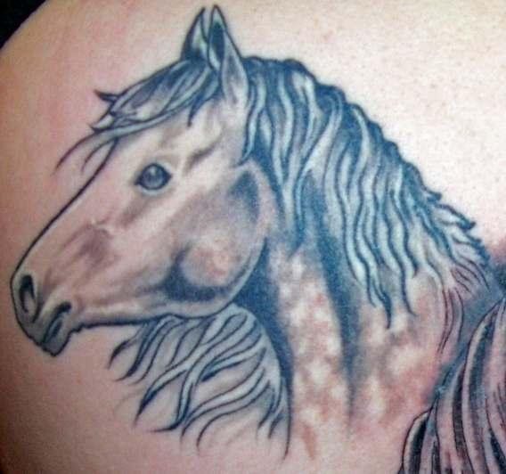 tatouage cheval 563