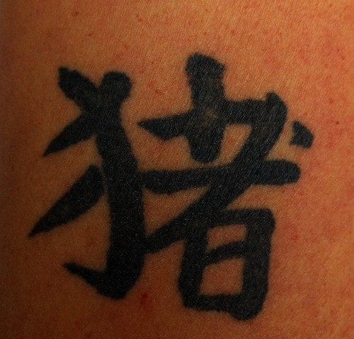 tatouage chinois 518