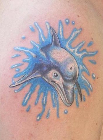 tatouage dauphin 507