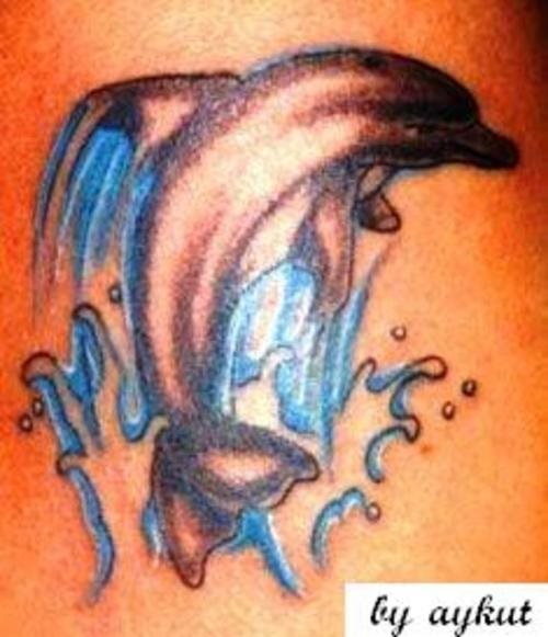 tatouage dauphin 513