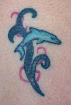 tatouage dauphin 525