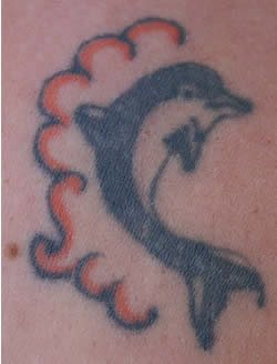 tatouage dauphin 526