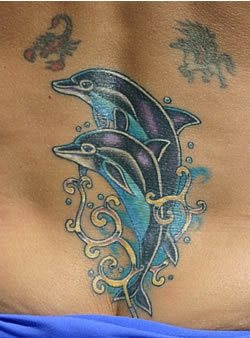 tatouage dauphin 528