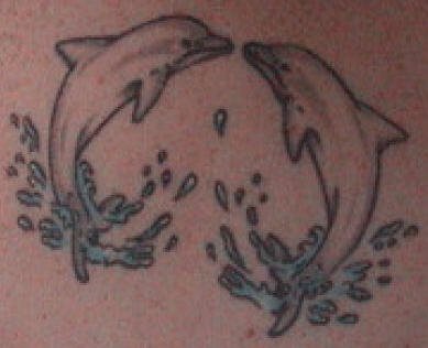 tatouage dauphin 531