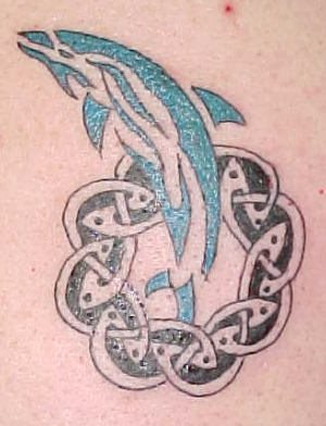 tatouage dauphin 536