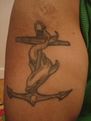 tatouage dauphin 537
