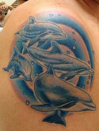 tatouage dauphin 538