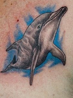 tatouage dauphin 549