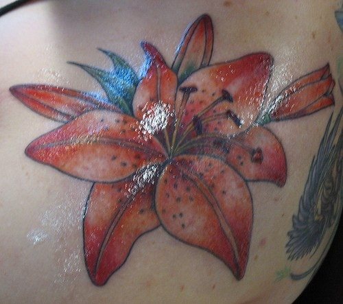 tatouage fleur lys 1030