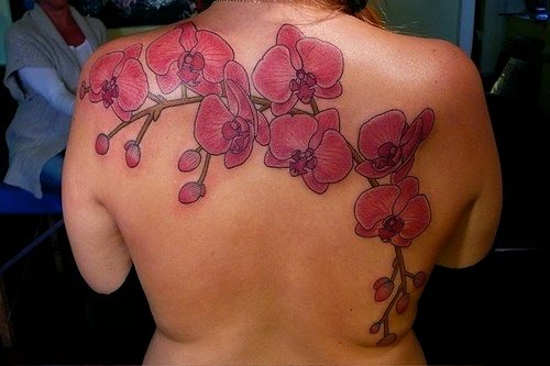 tatouage orchidee fleur 1029