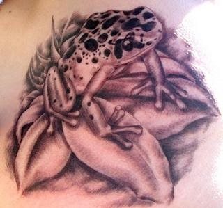 tatouage grenouille 1058
