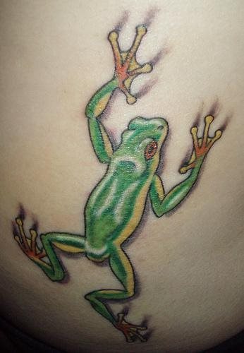 tatouage grenouille 1065