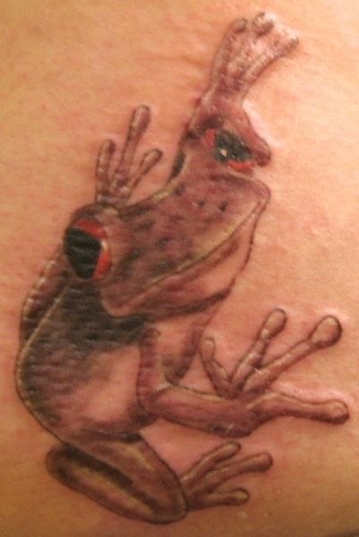 tatouage grenouille 1076