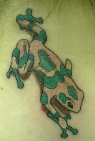 tatouage grenouille 1007